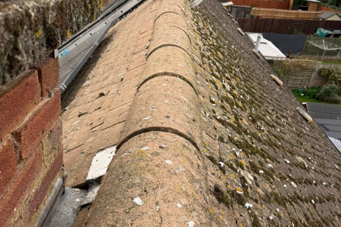 Main header - "Cole Roofing"