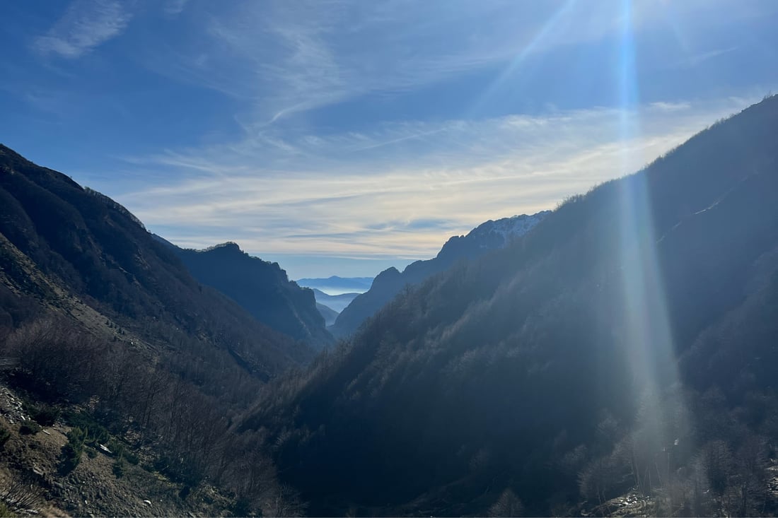 Main header - "E Electrical"