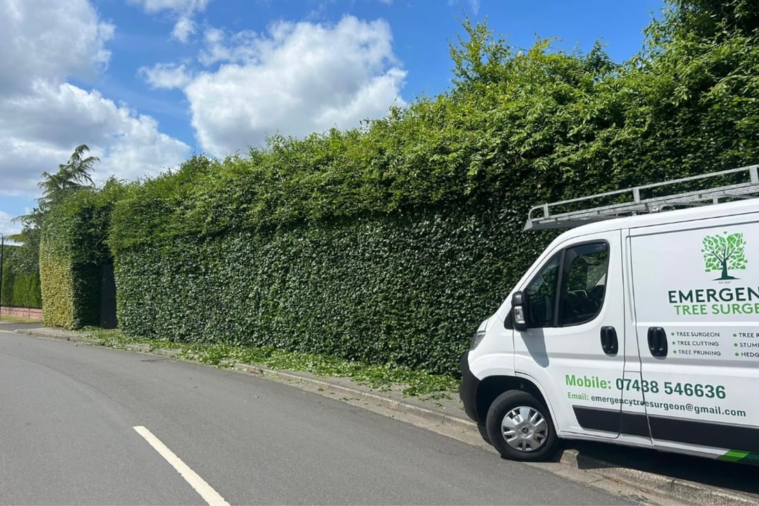 Main header - "Tree Hedge Cutting Service"