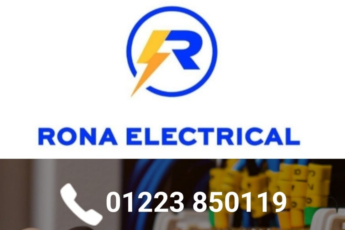 Main header - "RONA ELECTRICAL LIMITED"