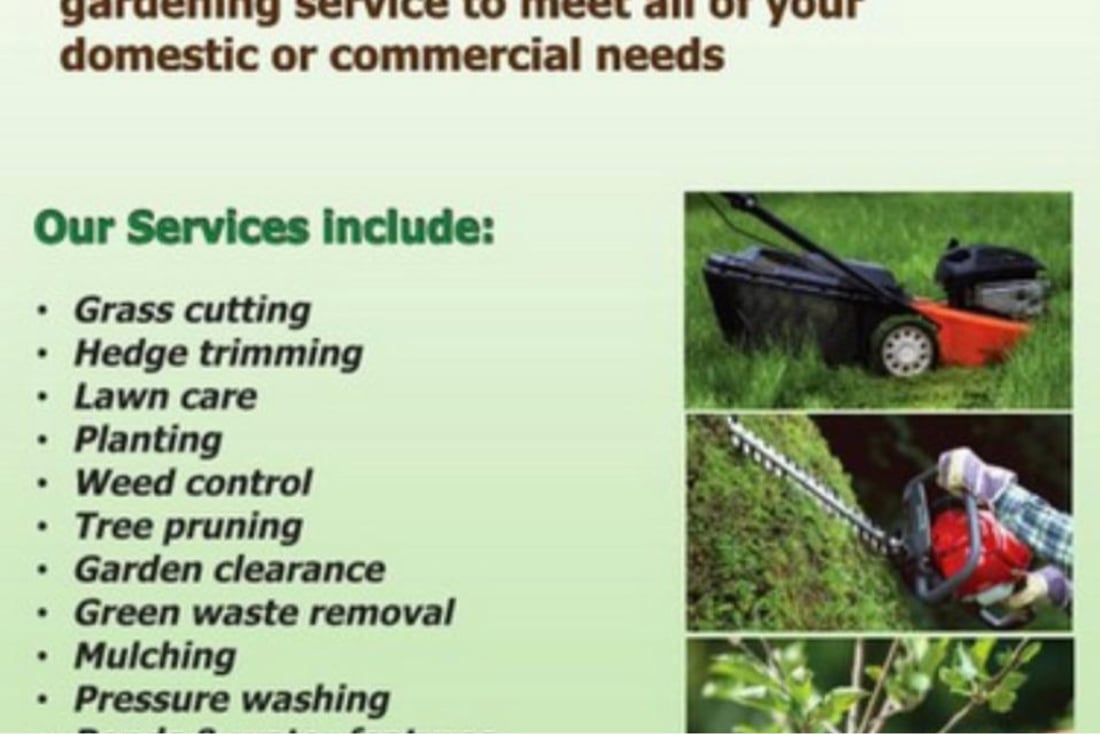 Main header - "Chloe's Tree & Landscaping"