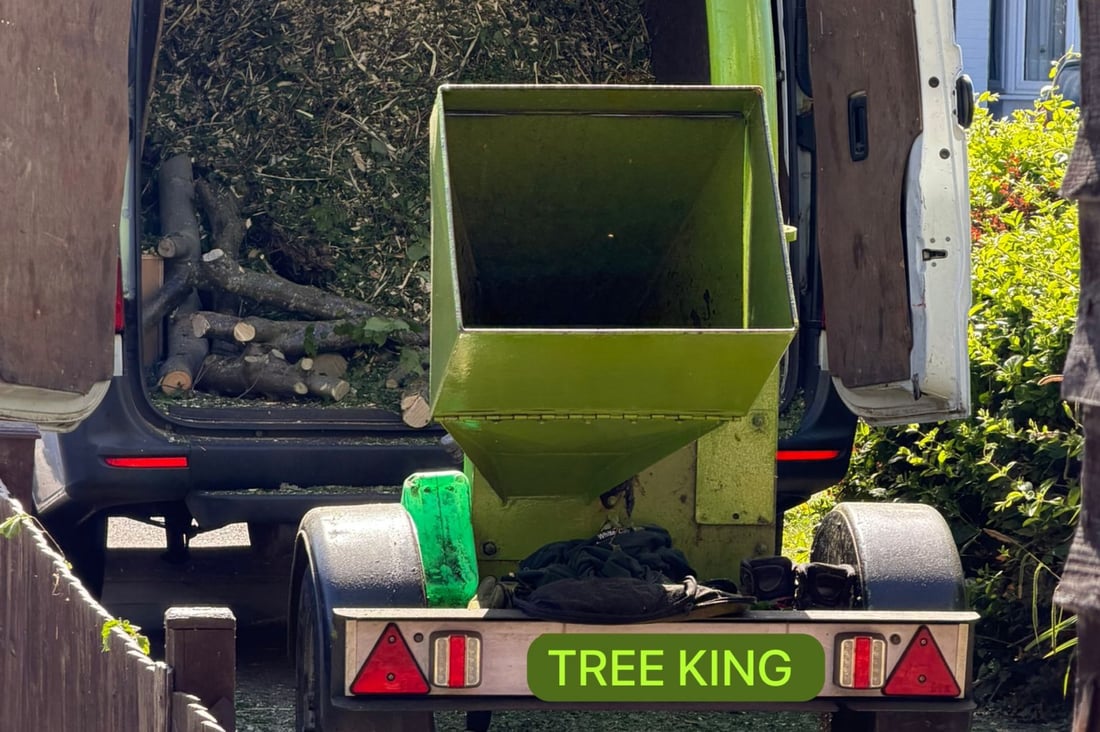 Main header - "White City Tree Care LTD"