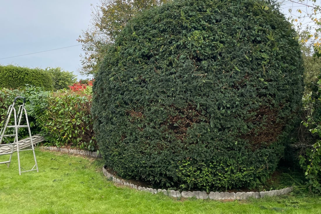 Main header - "Ashwood Landscapes"