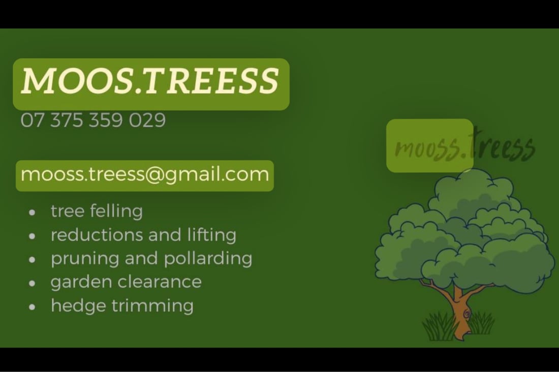 Main header - "Mooss.Treess"