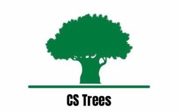 Main header - "CS Trees"