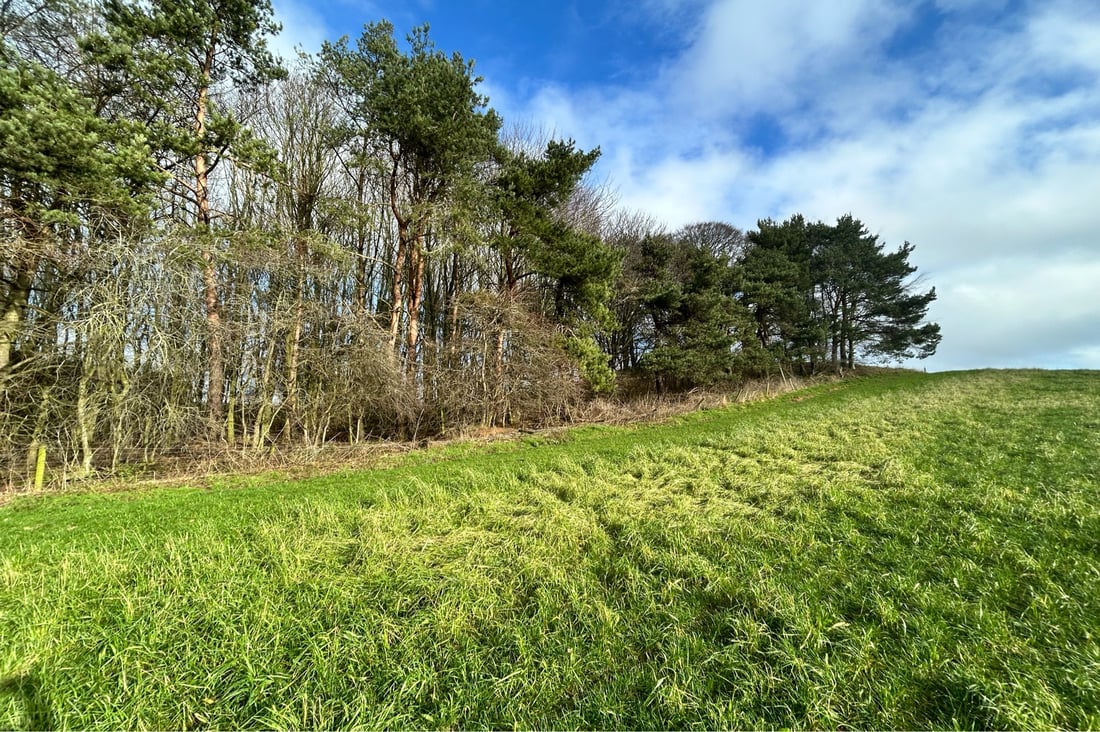 Main header - "Midscapes"