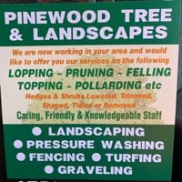 Main header - "PINEWOOD TREE & LANDSCAPES"