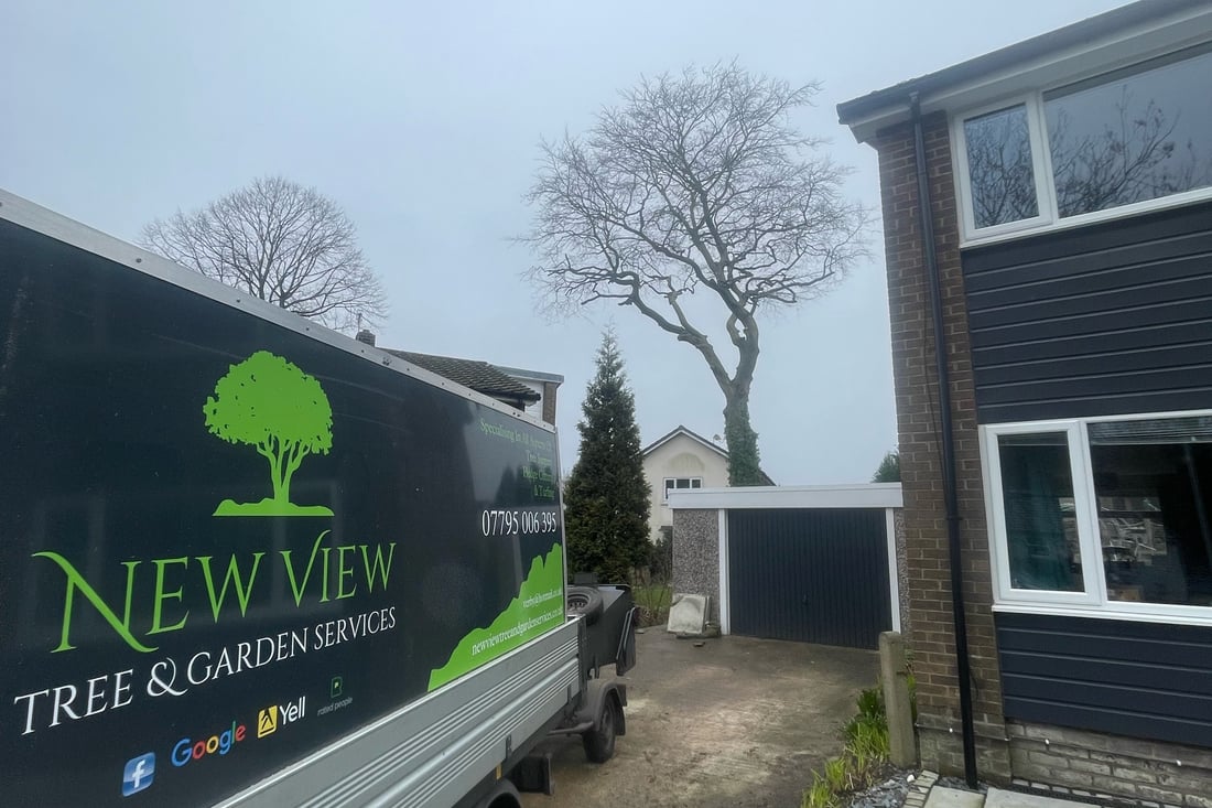 Main header - "New View Tree & Garden Services"