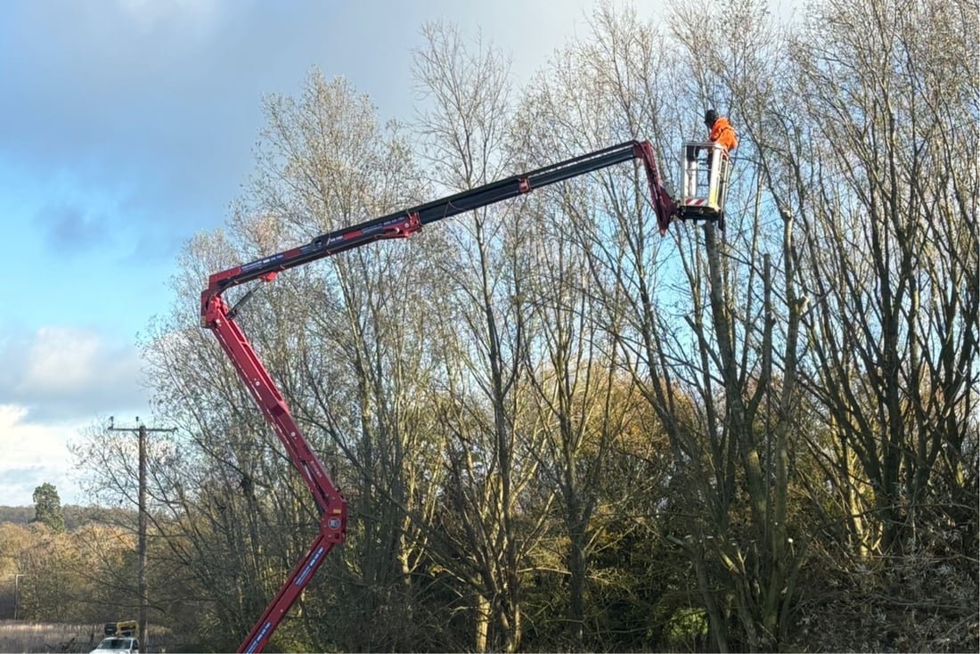 Main header - "Farn Forestry LTD"