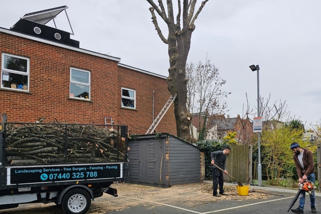 Main header - "Tree Surgeon"