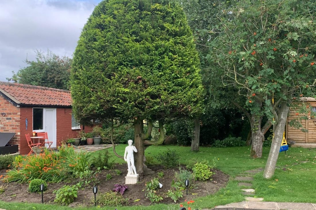 Main header - "Jw tree care "