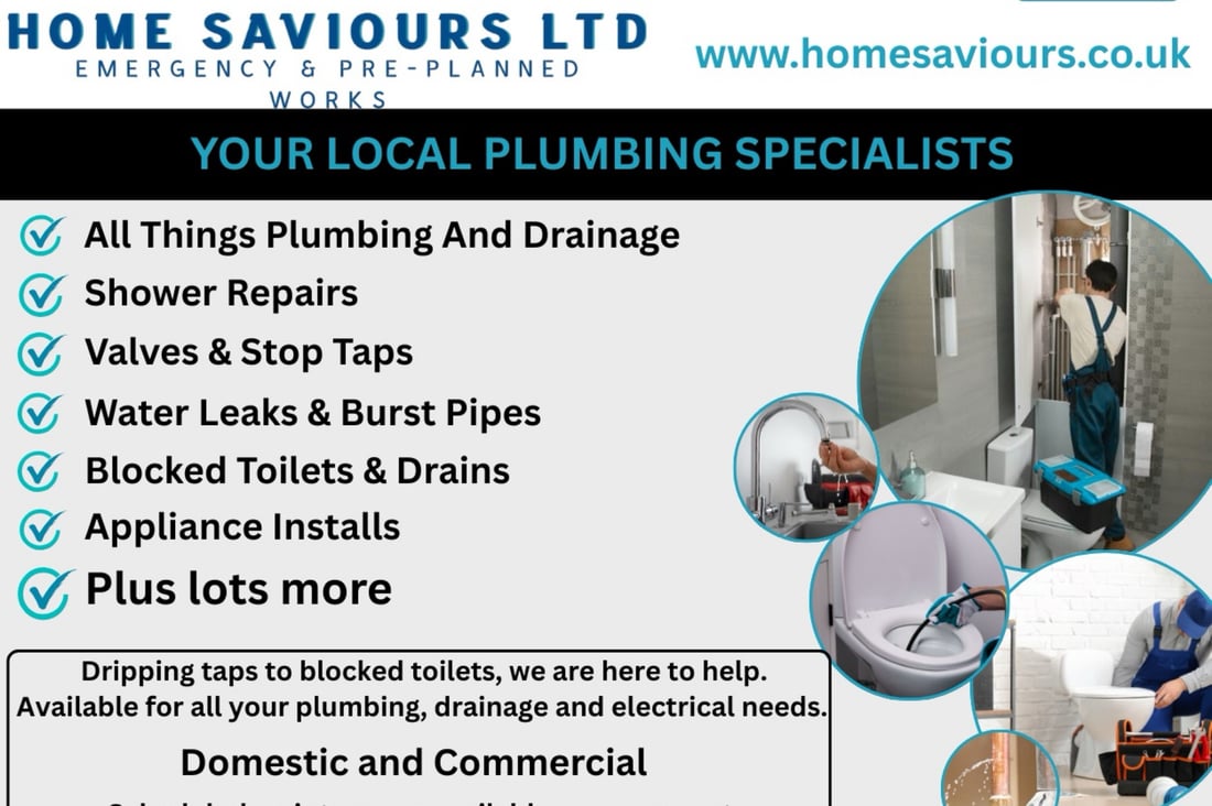 Main header - "Home Saviours LTD"