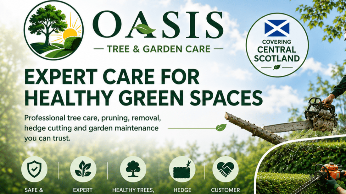Main header - "Oasis Tree & Garden Care "