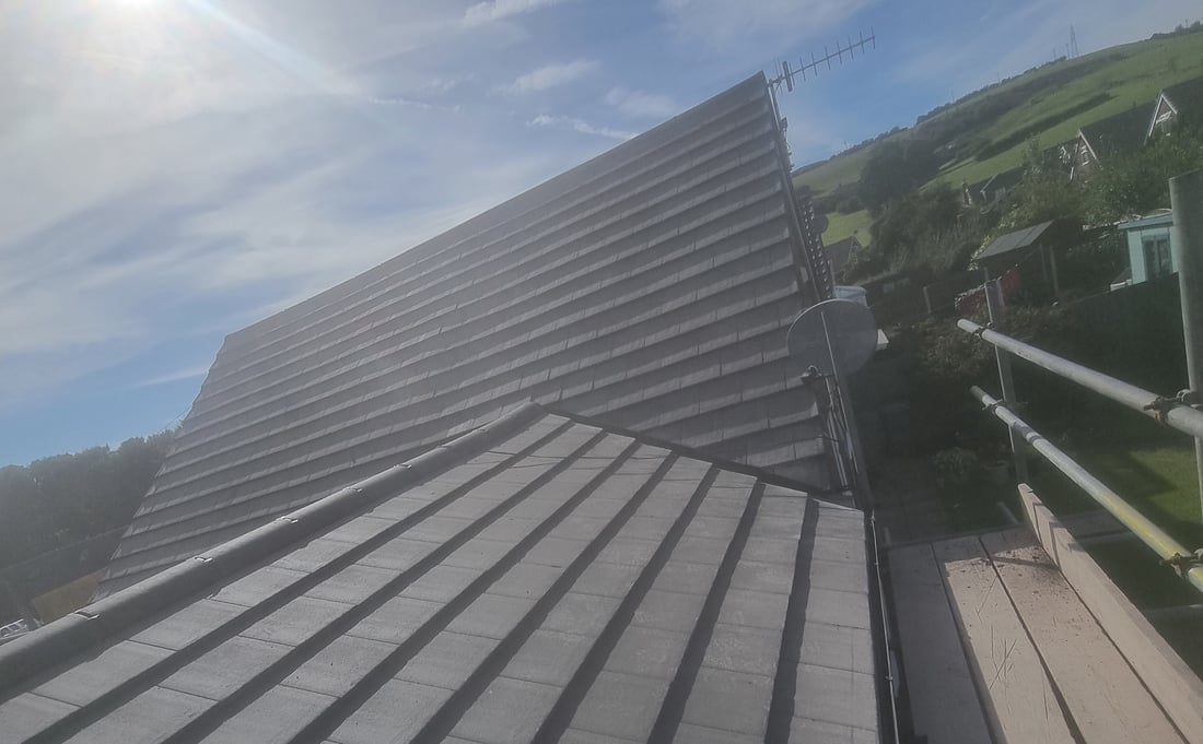 Main header - "Singleton's Roofing & Building"