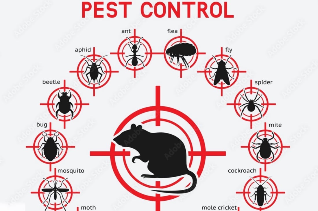 Main header - "AGS Pest Control"