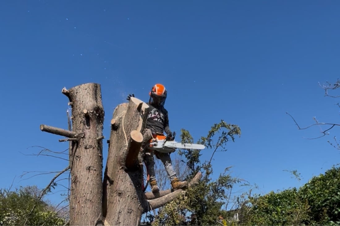 Main header - "Musceo Partners"