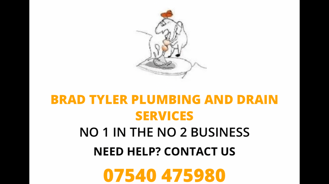 Main header - "Brad Tyler plumbing & drain services"
