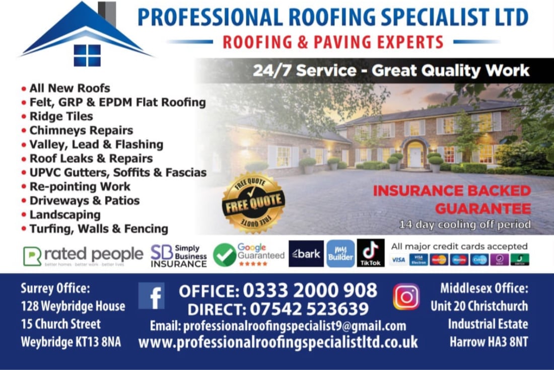 Main header - "Professional Roofing"
