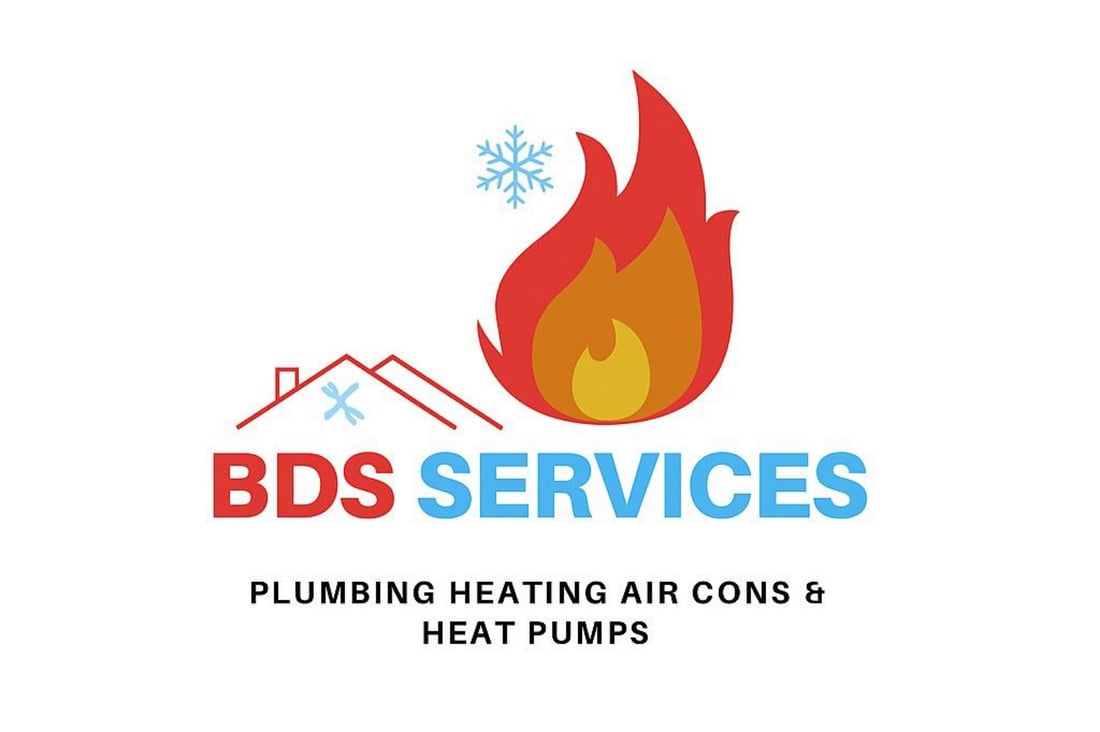 Main header - "BDS SERVICES LIMITED"