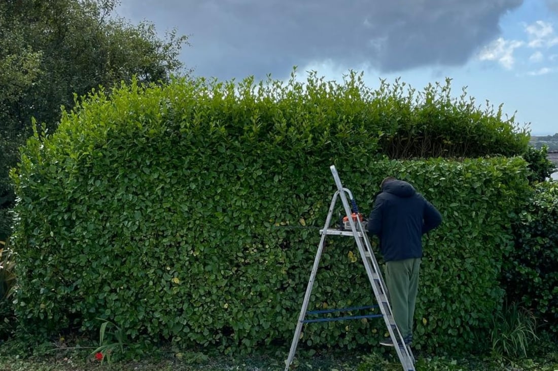 Main header - "Greenland Landscaping"