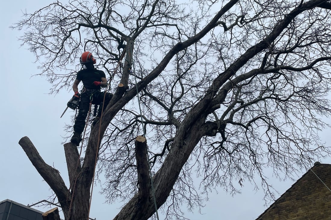 Main header - "Musceo Partners"