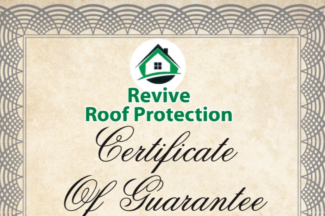 Main header - "Revive Roof Protection"