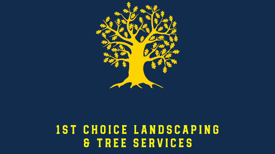 Main header - "1st Choice Landscaping and Groundwork"