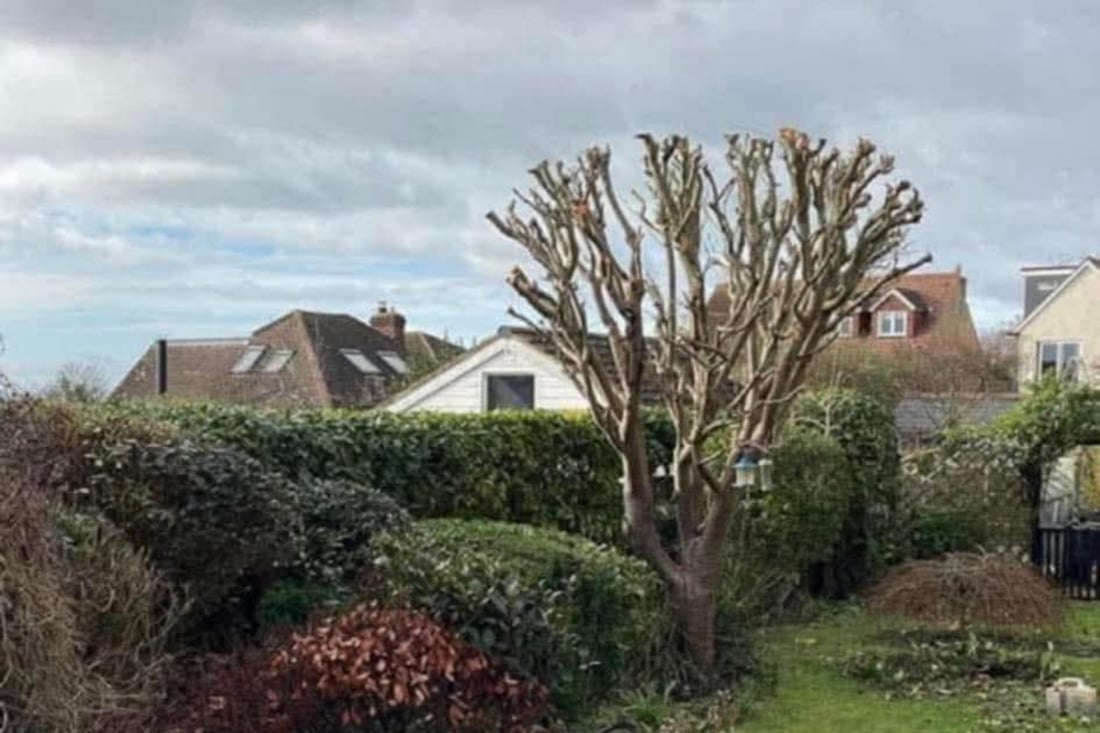 Main header - "Greenstone trees and landscape gardening"