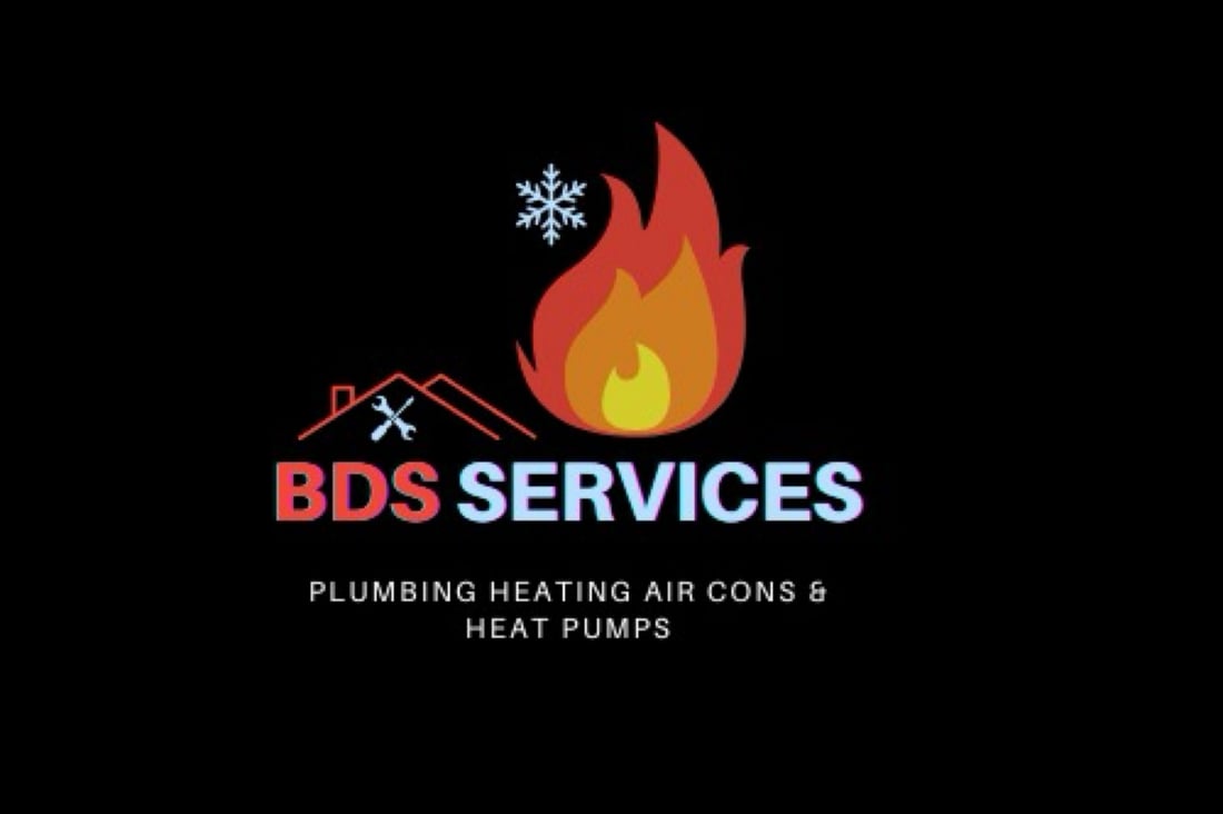 Main header - "BDS SERVICES LIMITED"