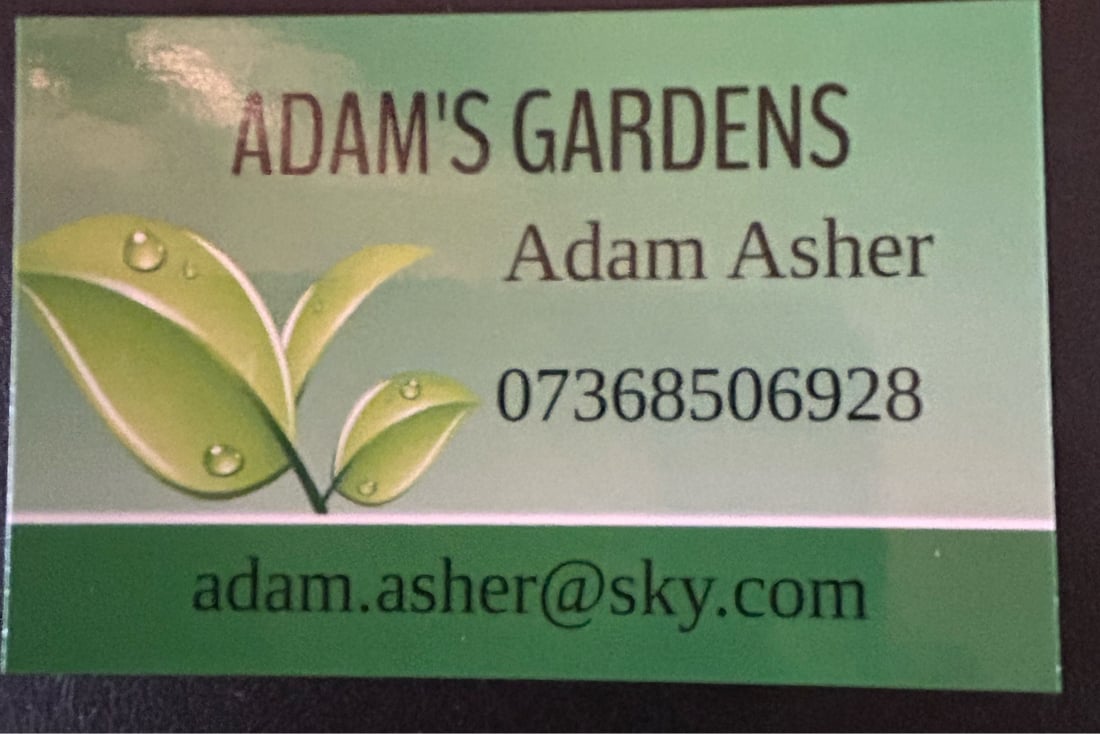 Main header - "Adam Asher"