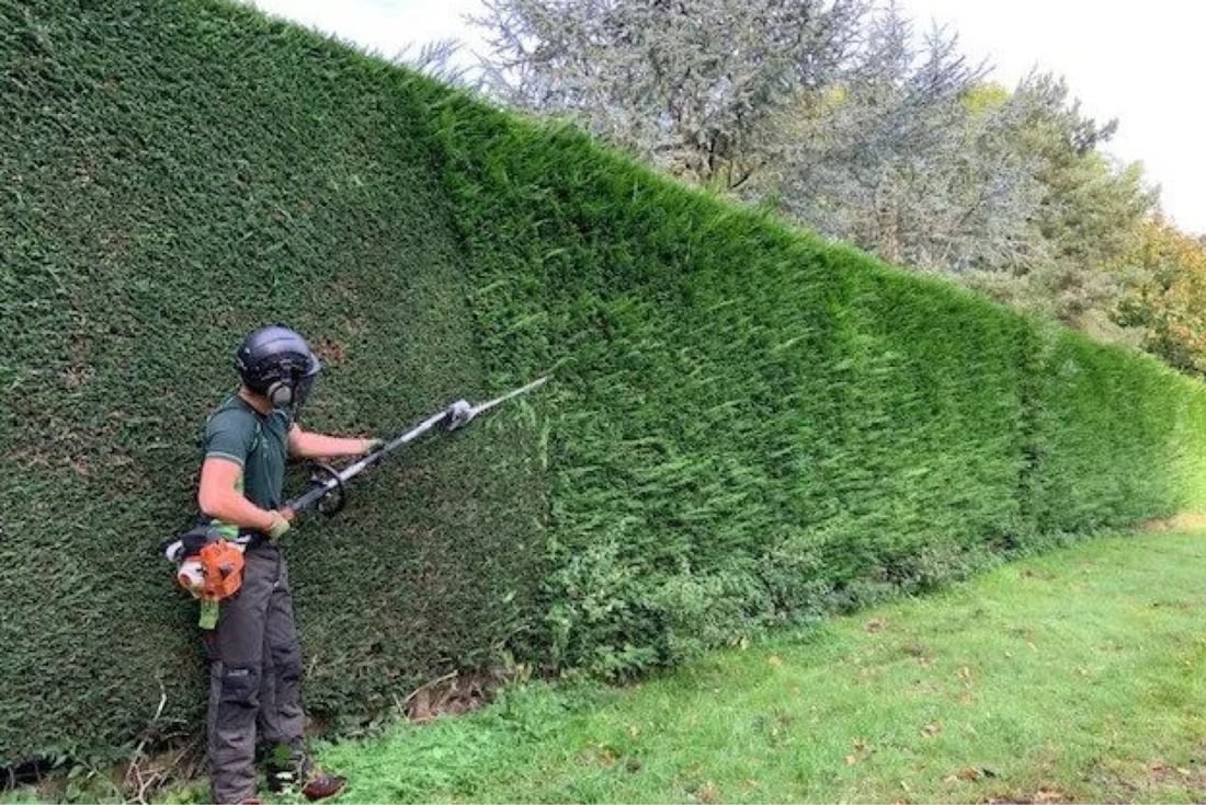 Main header - "JS Tree Services"
