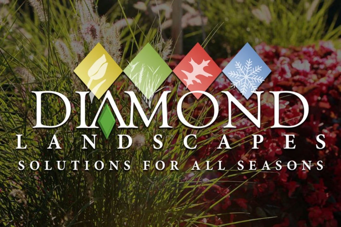 Main header - "Diamond Landscaping "