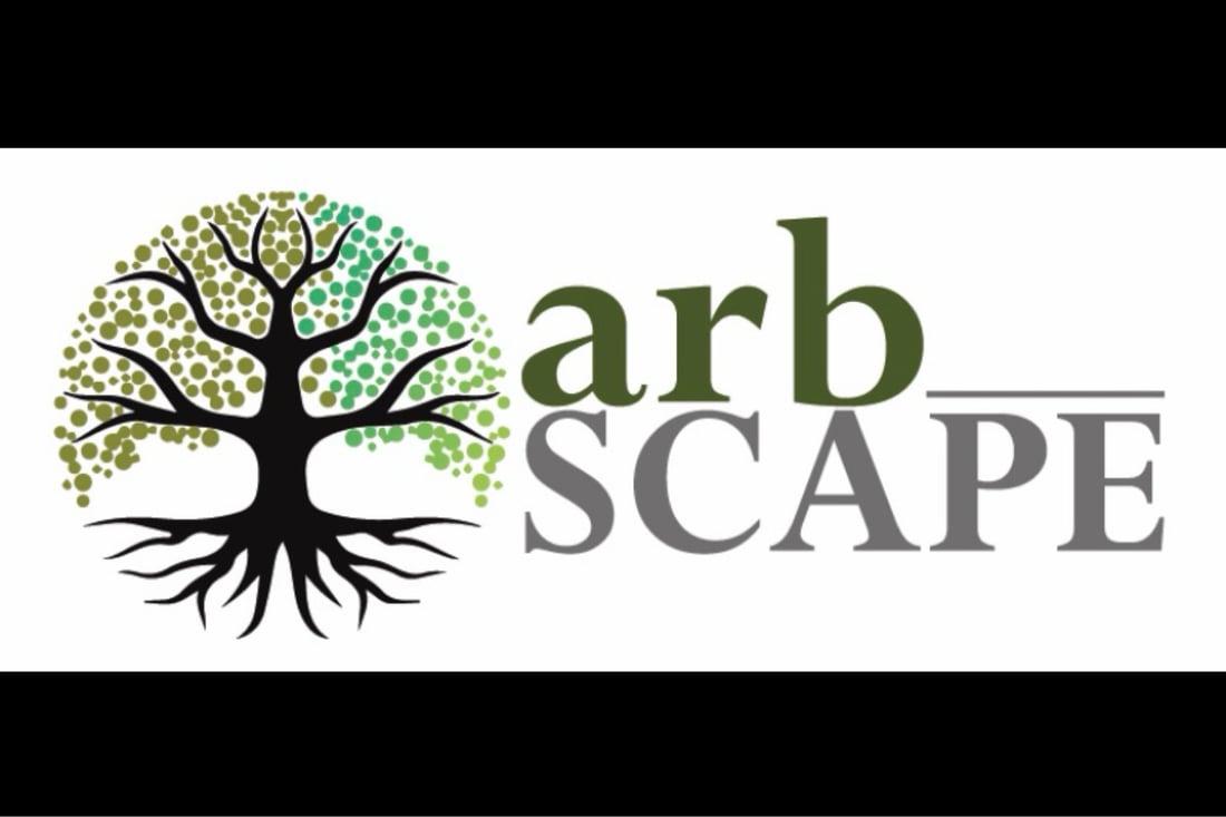 Main header - "ARB Scape"