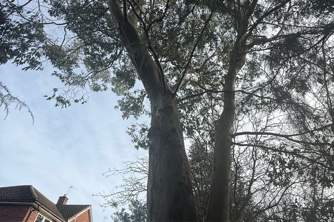 Main header - "ASAPROOFING LTD"