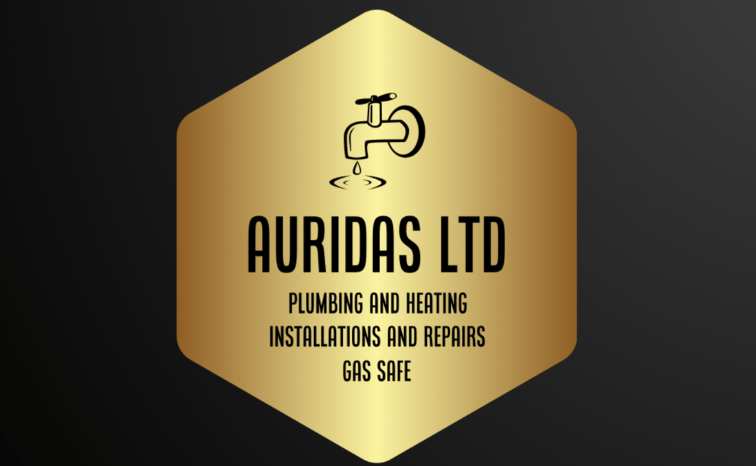 Main header - "AURIDAS LIMITED"