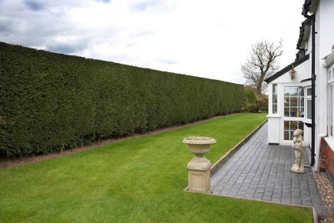 Main header - "Wildgreen Trees & Landscaping"