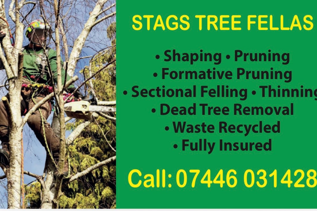 Main header - "K Lee Stags Tree Specialists"