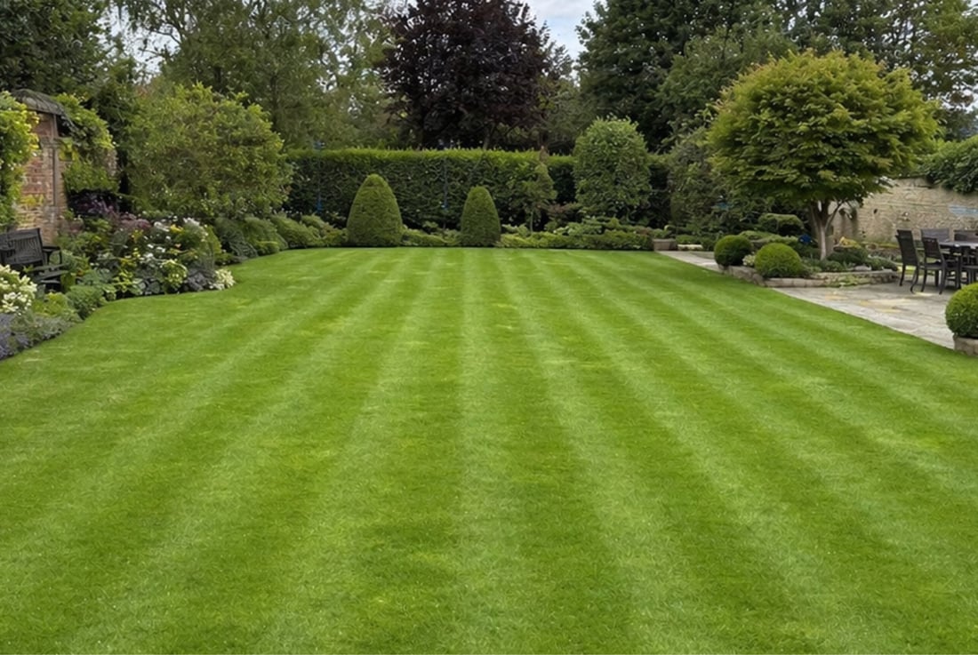 Main header - "Arapi Gardens"