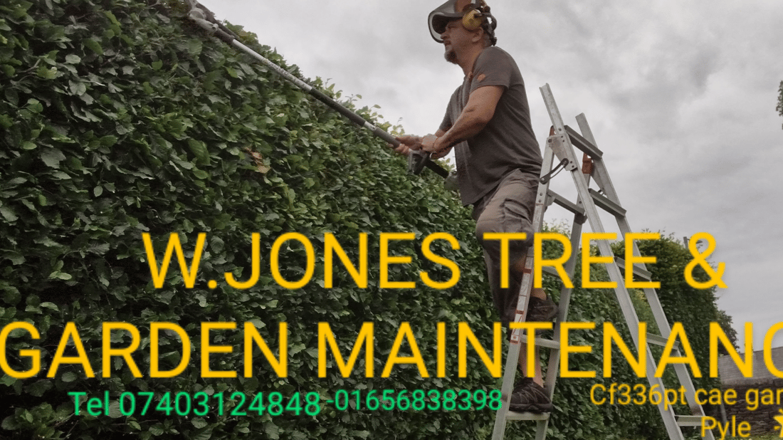 Main header - "W JONES TREE AND GARDEN MAINTENANCE"