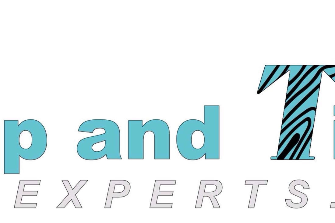 Main header - "Advanced Surveys & Building Services"