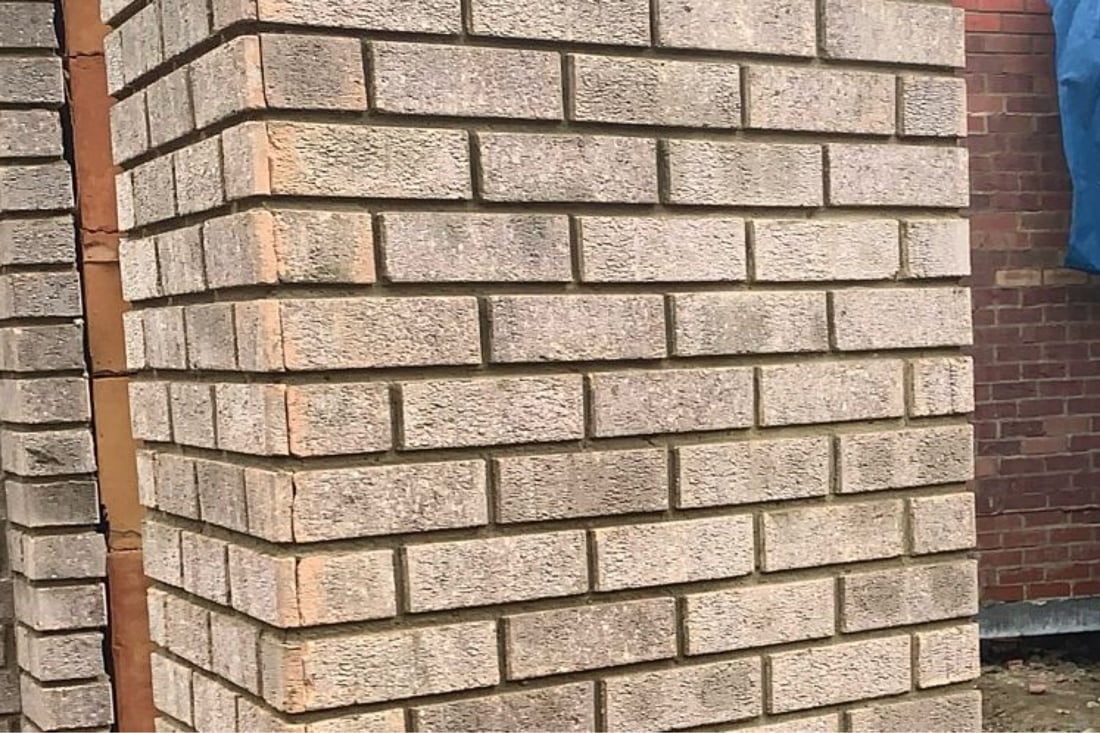 Main header - "Cani 1 LTD"