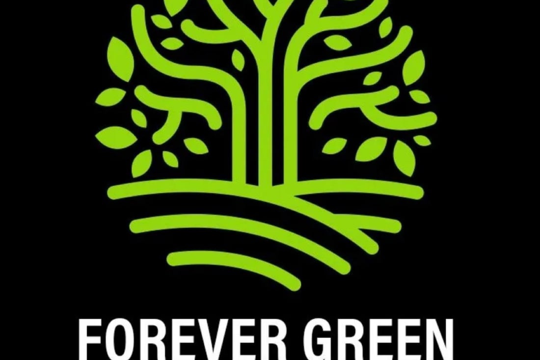 Main header - "Forever Green Tree Services"