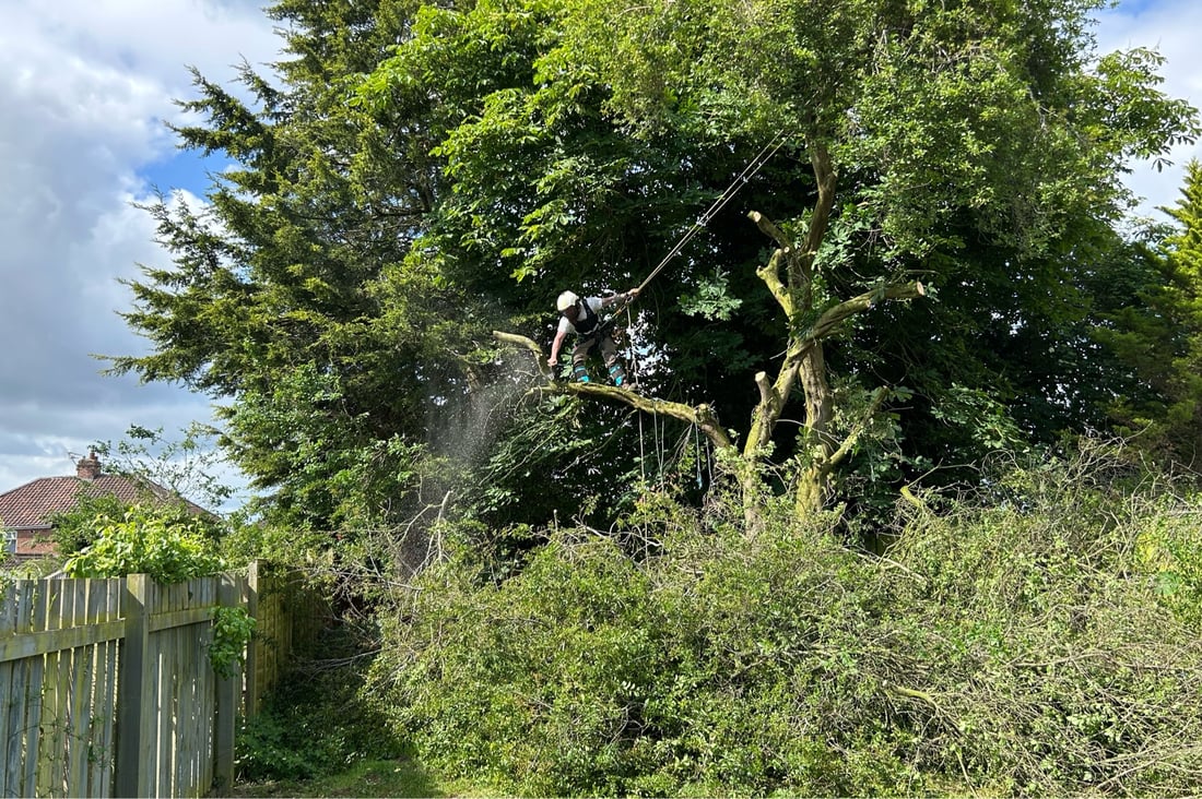 Main header - "Local Tree Surgeon & Fencing Specialists"