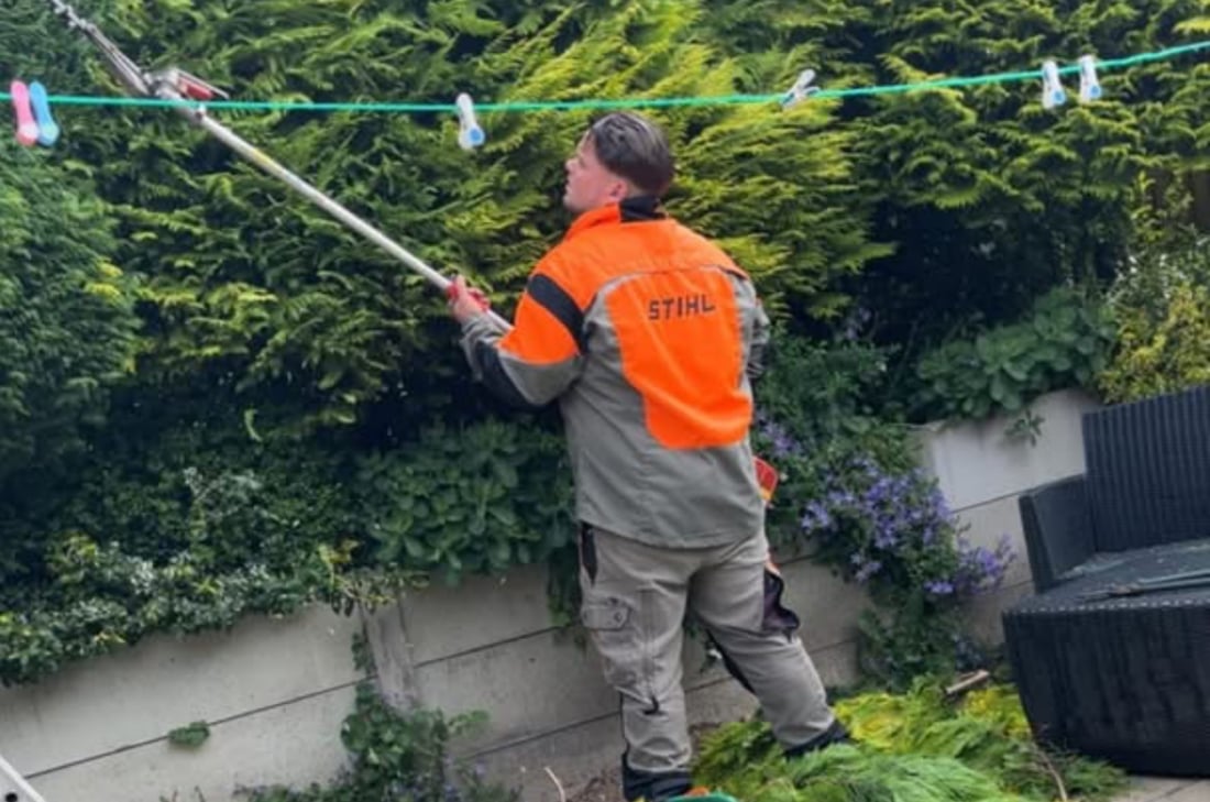 Main header - "Harrison's And Son's Property Maintenance"