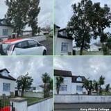 Company/TP logo - "TM Trees & Lanscaping"