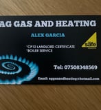 Company/TP logo - "Alex Gas & Heating"