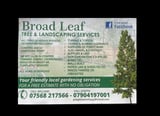 Company/TP logo - "Broadleaf Tree & Landscapes Services"