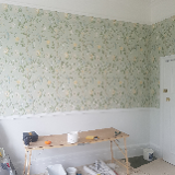 Company/TP logo - "ian stanyer decorators"