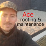 Company/TP logo - "A C E Roofing and Maintenance"