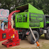 Company/TP logo - "bennetts tree care"